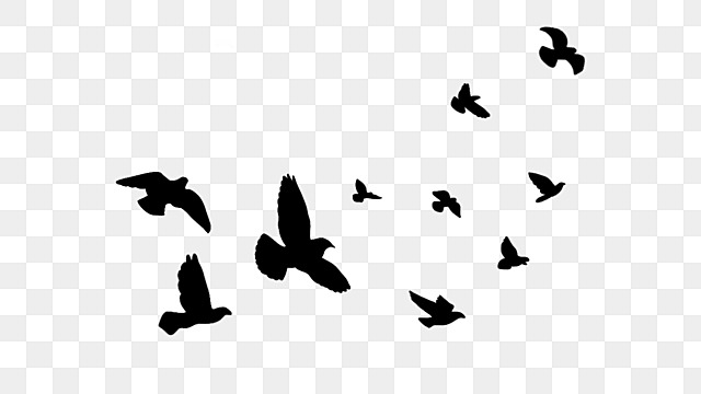 flock of birds silhouettes flying birds clipart bird group bird silhouette png, Bird Group, Bird flying bird flock silhouette png free